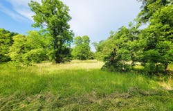 7688 Hamilton, Pine Mountain, GA 31822