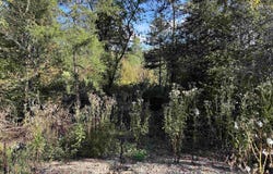 Alexander Lane, Mena, AR 71953