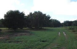W LAKE YALE Road, UMATILLA, FL 32784