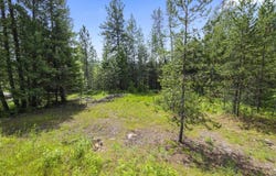 685 Blanchard-Elk Rd, Blanchard, ID 83804