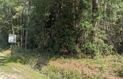 W. Newton Street, Bay Saint Louis, MS 39520