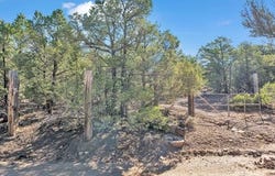 Upper Pinabete Road lot: 83, Questa, NM 87556