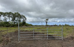 LAUKO RD, Mountain View, HI 96771
