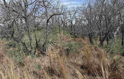 Lot 294 Pinemont Drive, Kingsland, TX 78639