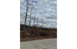 1365 County Road 3500, Mountain View, MO 65548