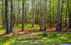 Ba L5 Riverdale Drive, Waycross, GA 31501