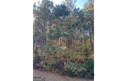 508 River Forest, Forsyth, GA 31029