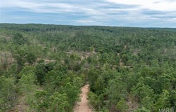 Tract 4 Hidden Valley, Annapolis, MO 63628