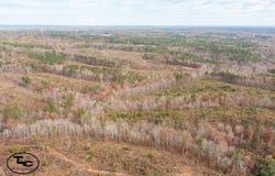 0 Steele Rd, Jasper, AL 35503