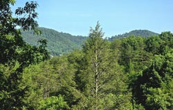 2011 Ridgecrest Loop Lane, Sevierville, TN 37876