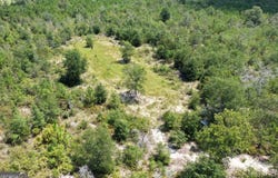 39.317 Ronnie Road, Buena Vista, GA 31803