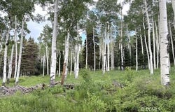786 N 800 W, Brian Head, UT 84719