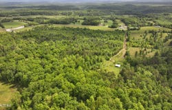 Tim Jones Rd, Deer Lodge, TN 37726