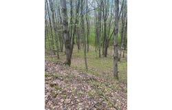 0 Appaloosa Trl, Walton, NY 13856