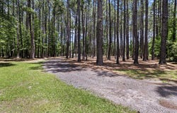2234 Hudson Mill Road, Ruffin, SC 29475