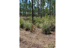 Combined Lots 3 & 4 SE FAMILY Road, LAKE CITY, FL 32025
