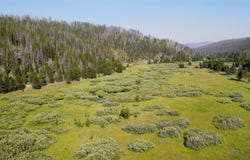 NHN HWY 43, Wisdom, MT 59761