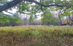 1195 NYS Route 17B, Mongaup Valley, NY 12762