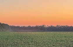 copeland rd, Crawfordsville, AR 72327