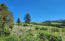 12 DIGNITY RANCH RD, MALO, WA 99150