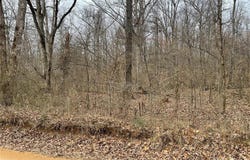 0 County Road 160 E-4, Doniphan, MO 63935