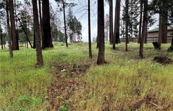 0 Pineland Circle, Magalia, CA 95954