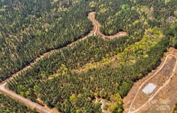 Chestnut Oak Trail, Mill Spring, NC 28756