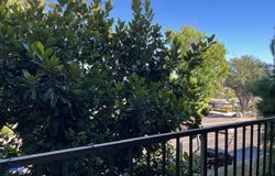 1301 S Atlantic Boulevard, Monterey Park, CA 91754
