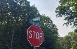 5090 Swamp Road, Alden, MI 49612