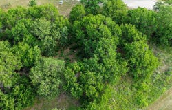Oakwood Trail, Eastland, TX 76448