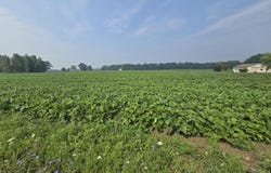 1 Frost Rd, Portland, MI 48875