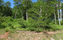83-85 ADAM Loop, Bath Springs, TN 38311