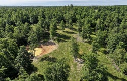 County Road Ff-459, Birch Tree, MO 65438