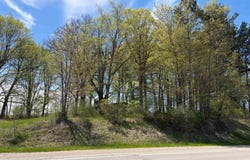 1740 & 1732 E Remus Road, Mt Pleasant, MI 48858