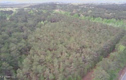 Hester Road, Ackerman, MS 39735