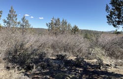 Crossbill Drive, Klamath Falls, OR 97601