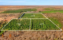 15 ACRES D WALLIN ROAD, THOMPSONVILLE, MI 49683