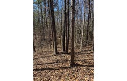 0 Sunshine Acres Drive, Sylva, NC 28779