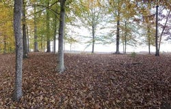 192 Lees Ford Dock Road, Nancy, KY 42544