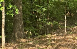 TBD Woodland Oaks Drive, Garrison, TX 75946