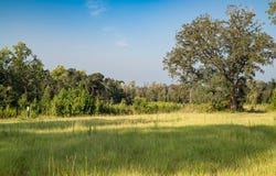 02 Clay, Attapulgus, GA 39819