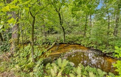 11478 E 7 Mile Road, Tustin, MI 49688