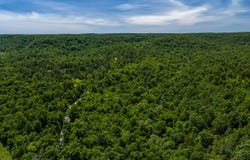 Timberhill Road-Tract 2, Raymondville, MO 65555