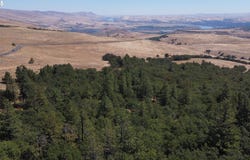 6520 SEVEN MILE HILL Rd, TheDalles, OR 97058