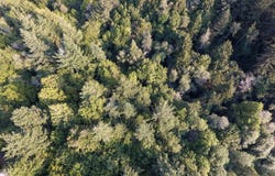MYRTLE TERRACE Rd, Coquille, OR 97423
