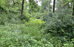30933 Slow Lane, Lone Rock, WI 53556