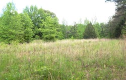 1015 Saulsbury Road, Falkner, MS 38629
