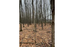 0 Webster Street, Malone, NY 12953