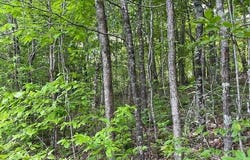 3717 Hwy 830, Gray, KY 40734