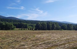 TBD Walnut Road, Waldron, AR 72958